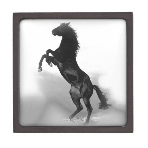 Black White Horse Jewelry Box