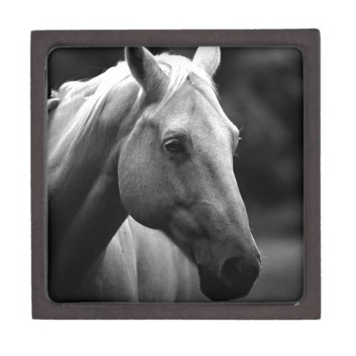 Black White Horse Keepsake Box