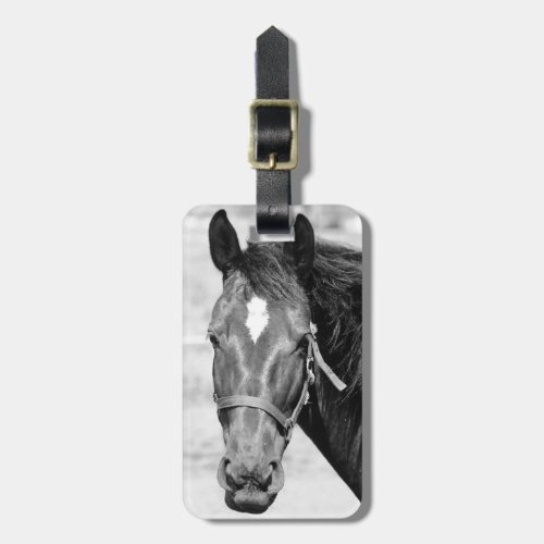 Black White Horse Luggage Tag