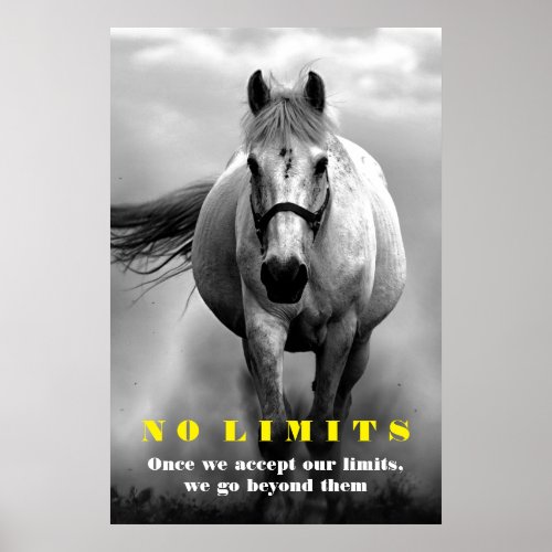 Black White Horse Motivational No Limits Artwork Poster