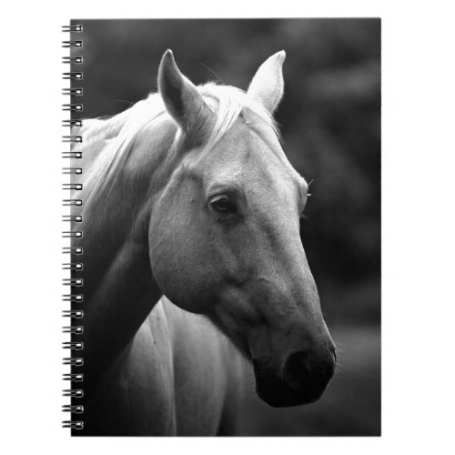 Black White Horse Notebook