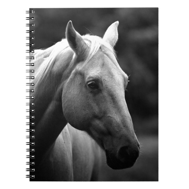 Black White Horse Notebook (Front)