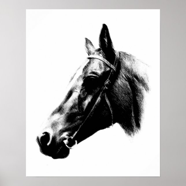 Black White Horse Pencil Digital Artwork Poster (Front)