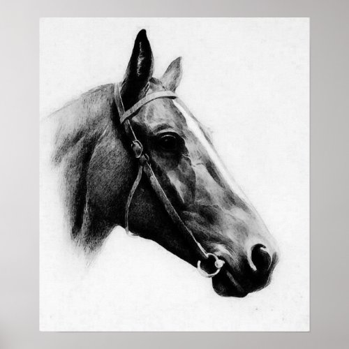 Black White Horse Pencil Drawing Artwork Poster