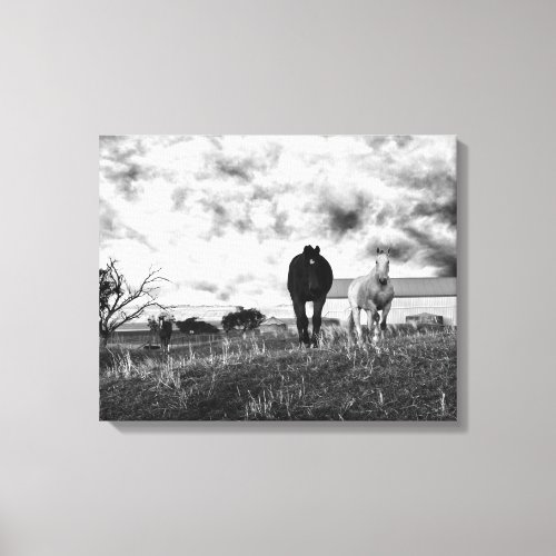 Black White Horse Photography Canvas Print
