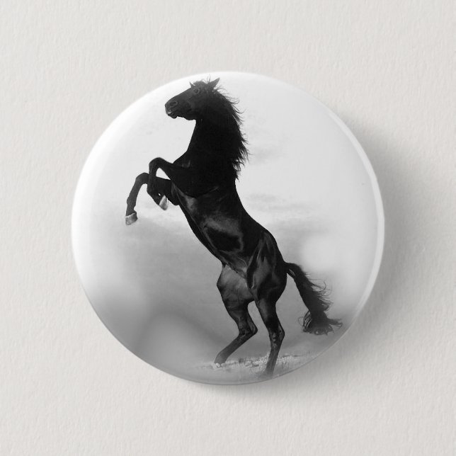 Black White Horse Pinback Button (Front)
