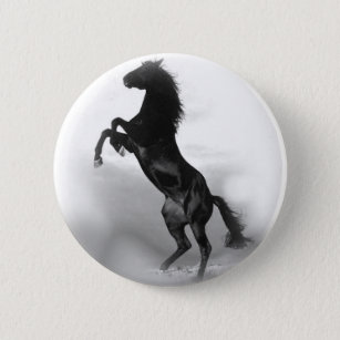 Black White Horse Pinback Button