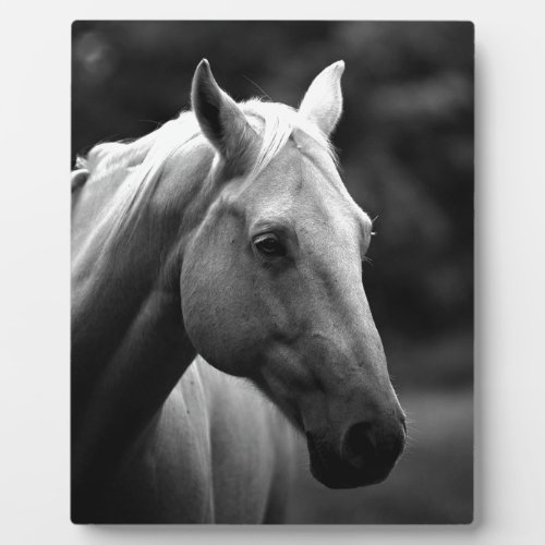 Black White Horse Plaque