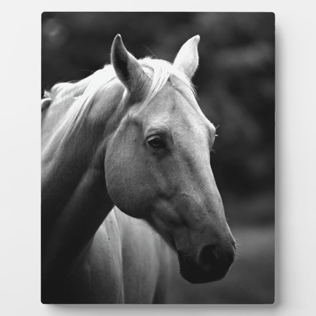 Black White Horse Plaque (Front)