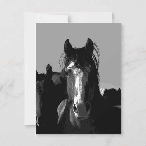 Black  White Horse Portrait