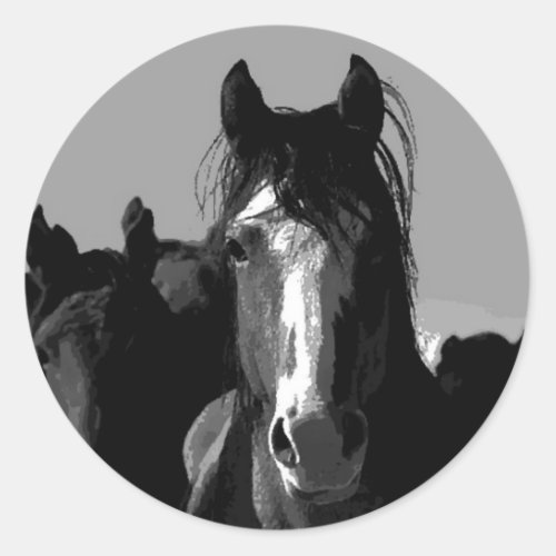 Black  White Horse Portrait Classic Round Sticker