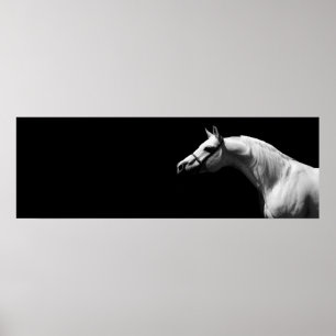 Black & White Horse Poster