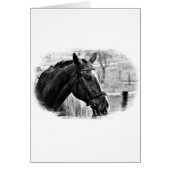 Black White Horse Sketch (Front)