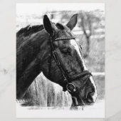 Black White Horse Sketch (Front)