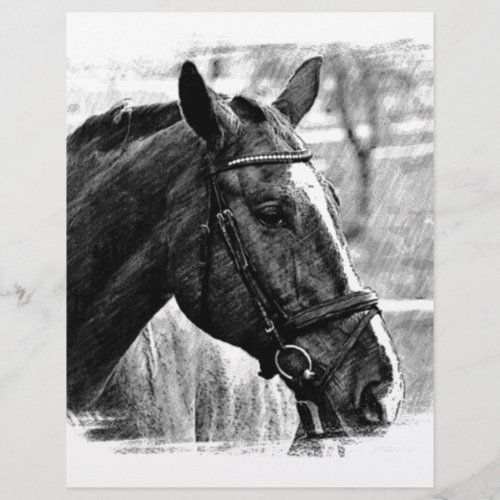 Black White Horse Sketch