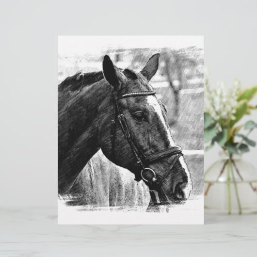 Black White Horse Sketch (Standing Front)