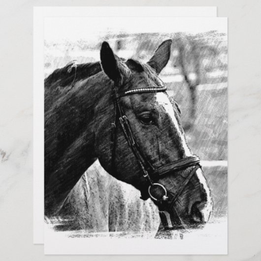Black White Horse Sketch (Front/Back)