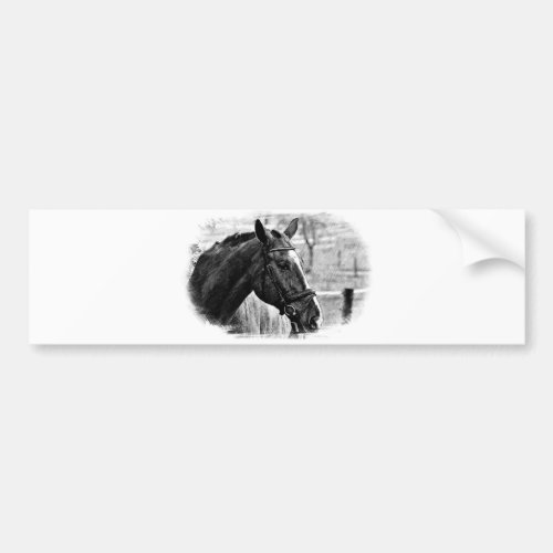 Black White Horse Sketch Bumper Sticker