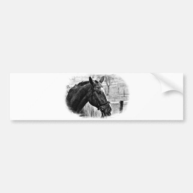 Black White Horse Sketch Bumper Sticker (Front)