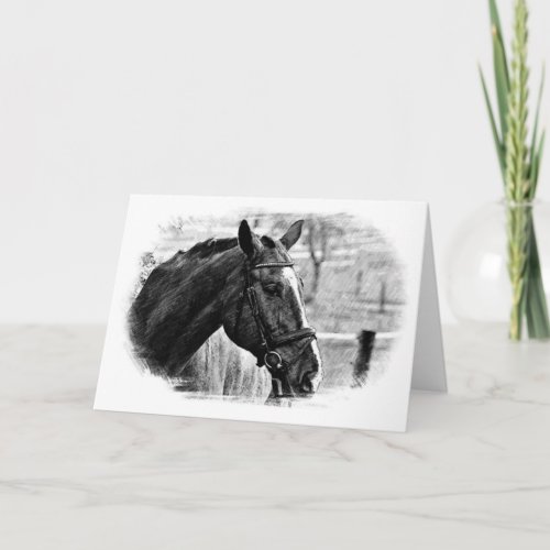 Black White Horse Sketch Card