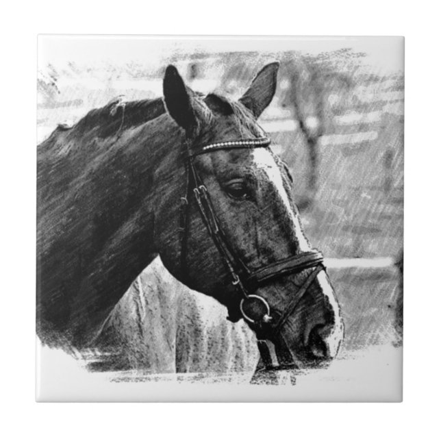 Black White Horse Sketch Ceramic Tile (Front)