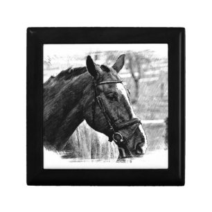 Black White Horse Sketch Keepsake Box