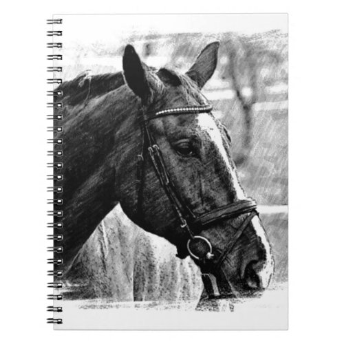 Black White Horse Sketch Notebook