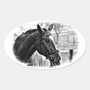 Black White Horse Sketch Oval Sticker