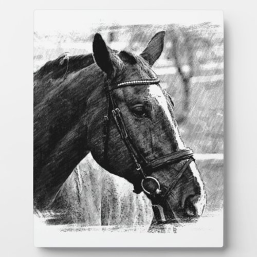 Black White Horse Sketch Plaque