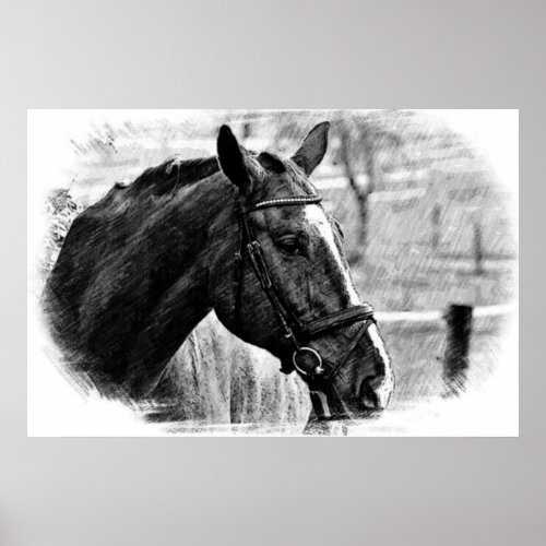 Black White Horse Sketch Poster