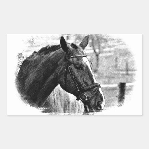 Black White Horse Sketch Rectangular Sticker