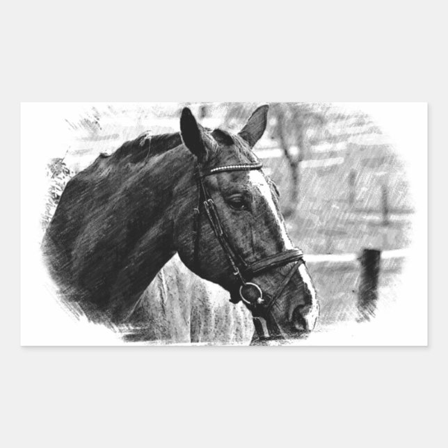Black White Horse Sketch Rectangular Sticker (Front)