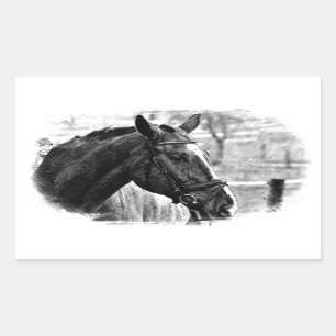 Black White Horse Sketch Rectangular Sticker