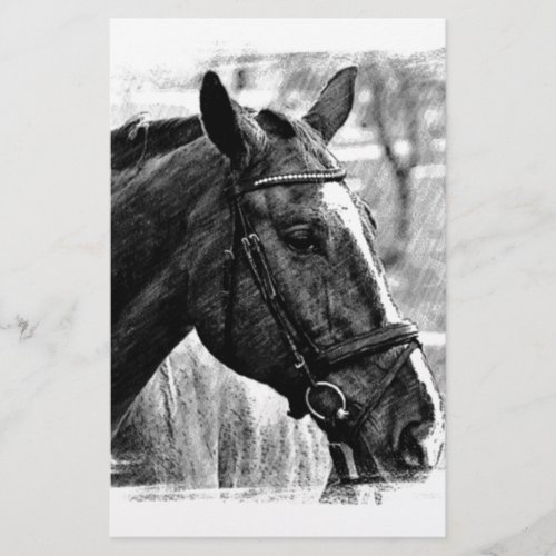 Black White Horse Sketch Stationery