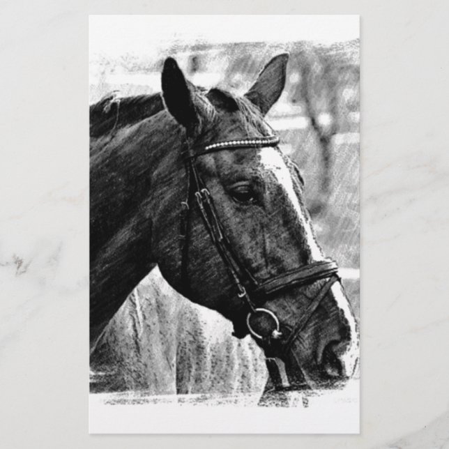 Black White Horse Sketch Stationery (Front)