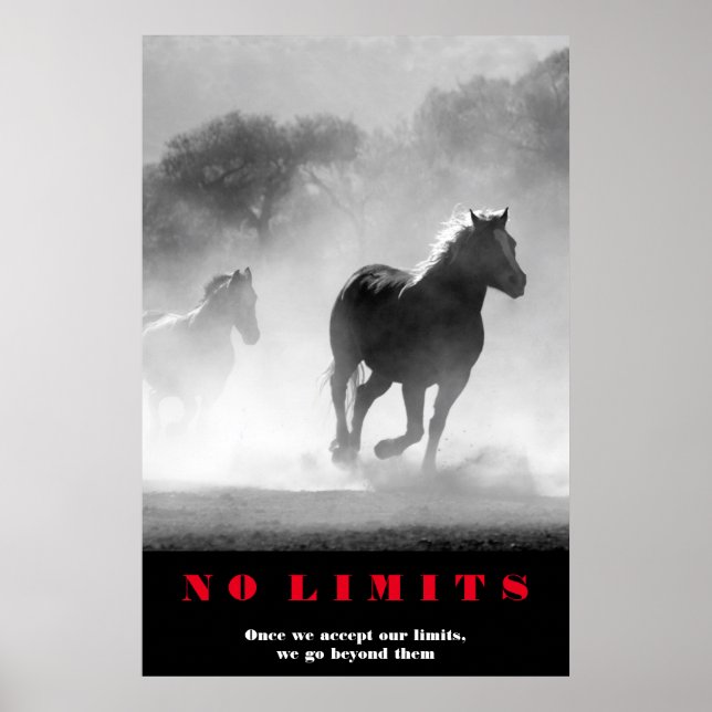Black White Horses Motivational No Limits Artwork Poster (Front)
