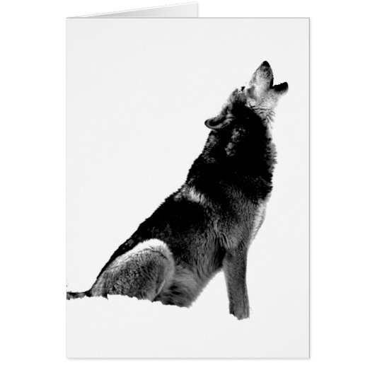 Black White Howling Wolf Cards (Front)