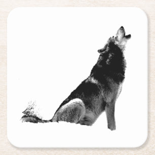 Black White Howling Wolf Square Paper Coaster