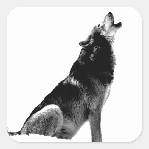 Black White Howling Wolf Square Sticker