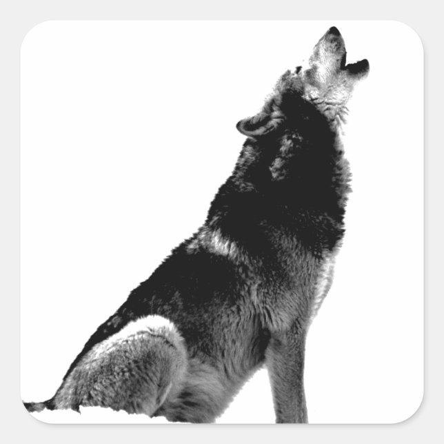 Black White Howling Wolf Square Sticker (Front)