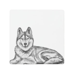Black & White Ink & Watercolor Siberian Husky Metal Print