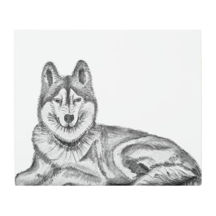 Black & White Ink & Watercolor Siberian Husky Metal Print