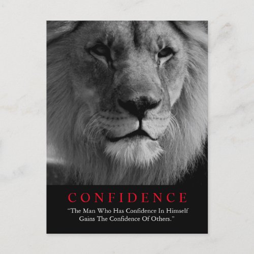Black White Inspirational Confidence Lion Postcard