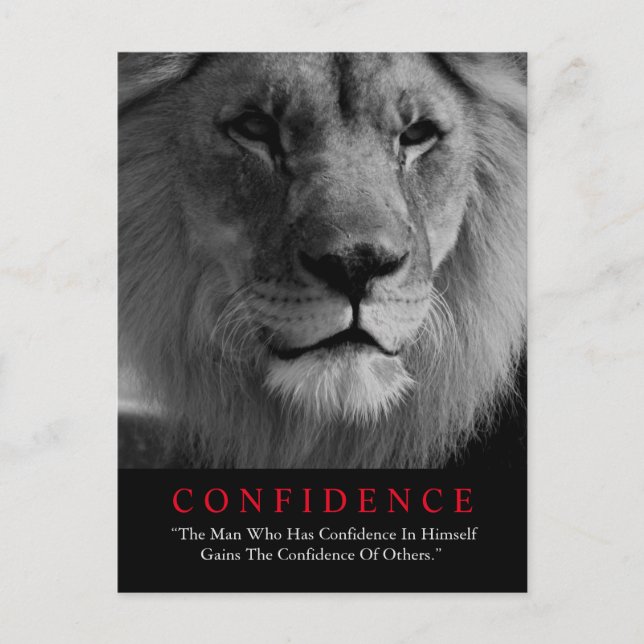 Black White Inspirational Confidence Lion Postcard (Front)
