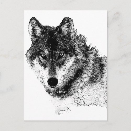 Black White Inspirational Wolf Eyes Postcard