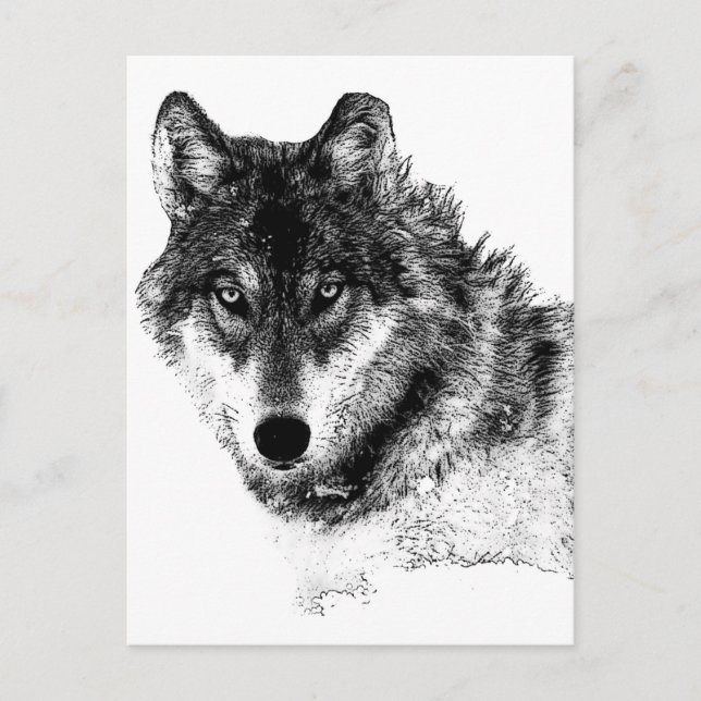 Black White Inspirational Wolf Eyes Postcard (Front)