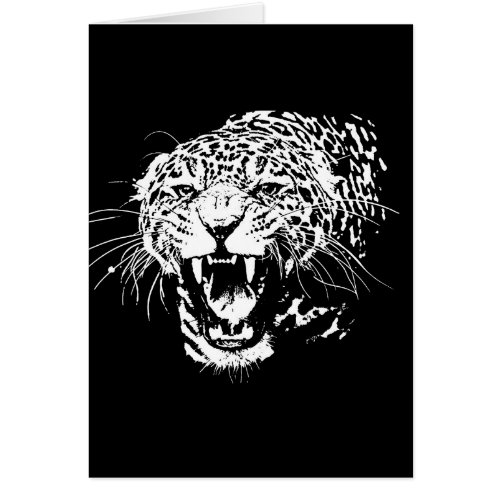 Black  White Jaguar