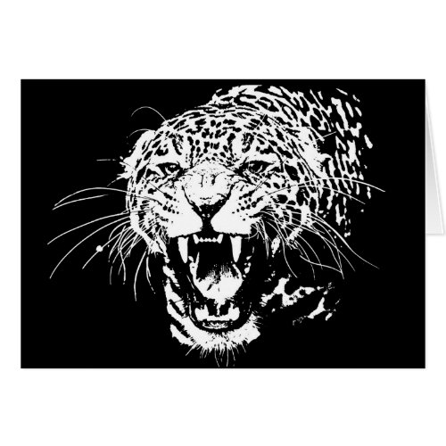 Black  White Jaguar