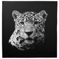 Black & White Jaguar