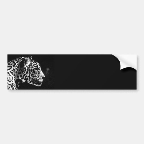 Black  White Jaguar Pop Art Bumper Sticker